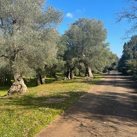 Affittacamere Da Ksenia 3*