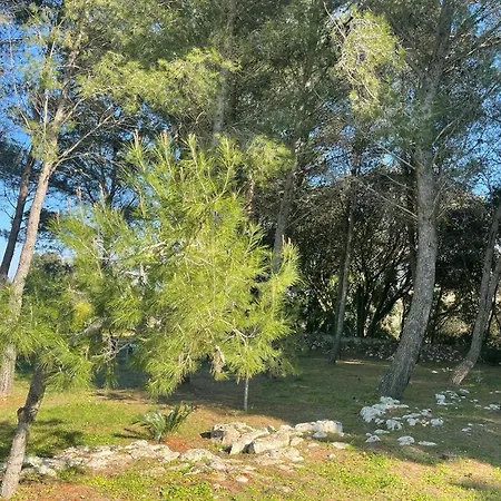 Gasthuis Da Ksenia 3*