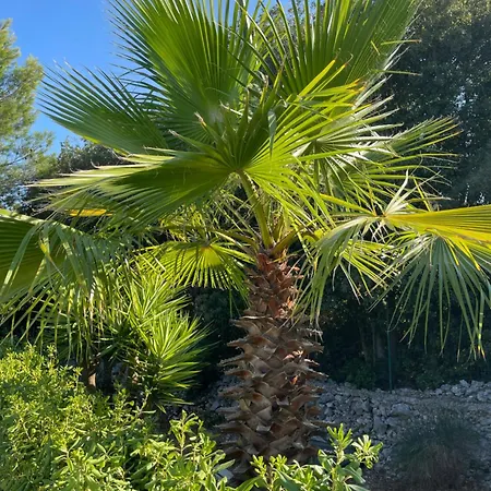 Gasthof Da Ksenia Ceglie Messapica