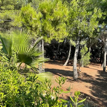 Da Ksenia Gasthof Ceglie Messapica